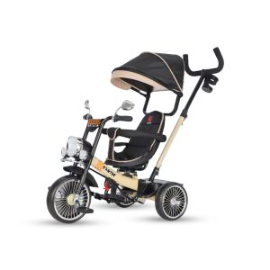 TRICYCLE EXOTIC ET-1272
