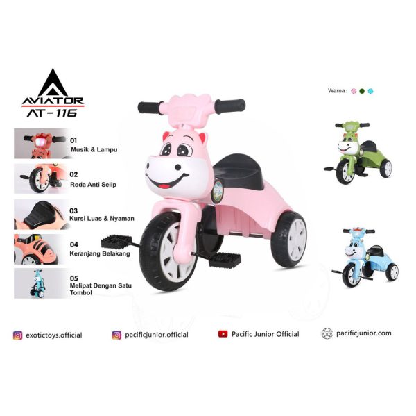 TRICYCLE AVIATOR AT-116 - Gambar 3